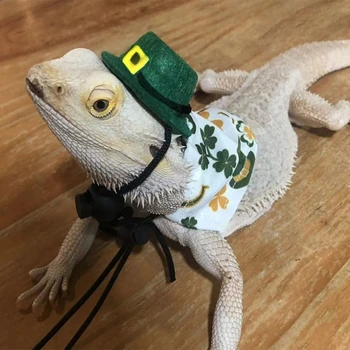 Reglabil Dragon Bărbos Costum de Șopârlă Pălărie cu Mantie pentru Reptile Animale Mici Saint Patricks Day Dress Up Accesorii