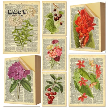 Retro Botanică Ziarul Poster Tapet Floare Hortensie Crizantema De Identificare Diagramă Diagramă Ilustrare Autocolant De Perete